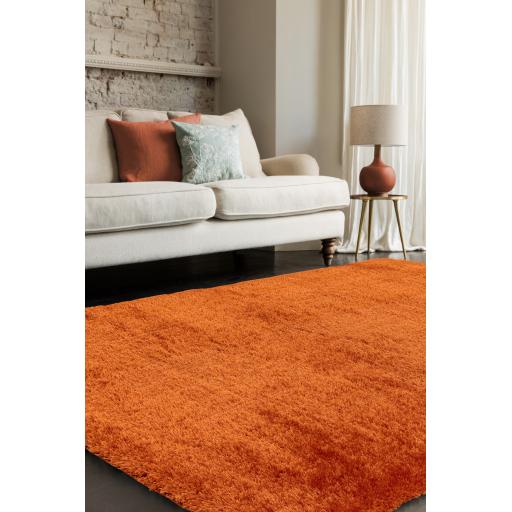 Payton Shaggy Rug Soft Fluffy Living Room Bedroom Silky Shimmer Orange Rug