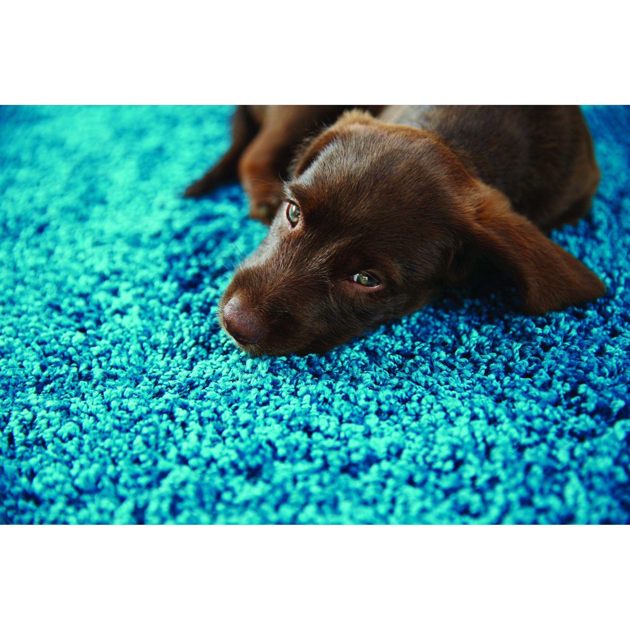 Buddy Washable NonSlip Rug Shaggy Hall Runner Rug for Hallways Kitchen