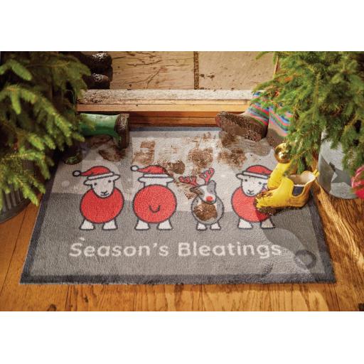 Robin Doormat in Grey, Machine Washable Christmas Indoor Doormat