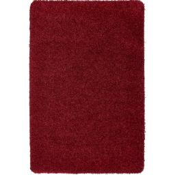 My Rug Red.jpg