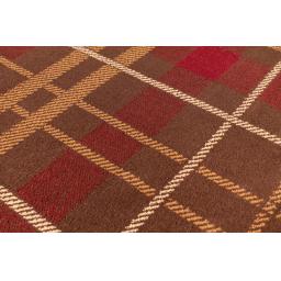 Tartan L Brown closeup.jpg