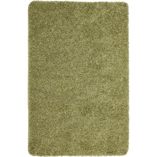 My Rug Olive.jpg