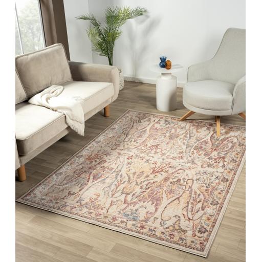 Alia 697GC Bordered Floral Traditional Modern Short Pile Soft Silky Rug in Beige Rose