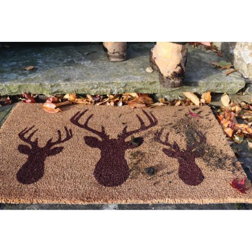 Coir Stags head L1.jpg