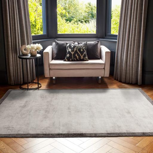 Blade Border Plain Silky Hand Woven Viscose Rug in Silver with Grey Border