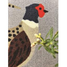 My Pheasant Detail.jpg