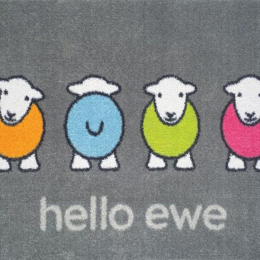 Hello Ewe Swatch.jpg