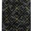 Naxos Modern Marble Like Design Gold Silver Rug in Black and White Swatch